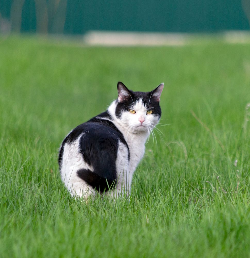 Photograph by Владимир Желтов