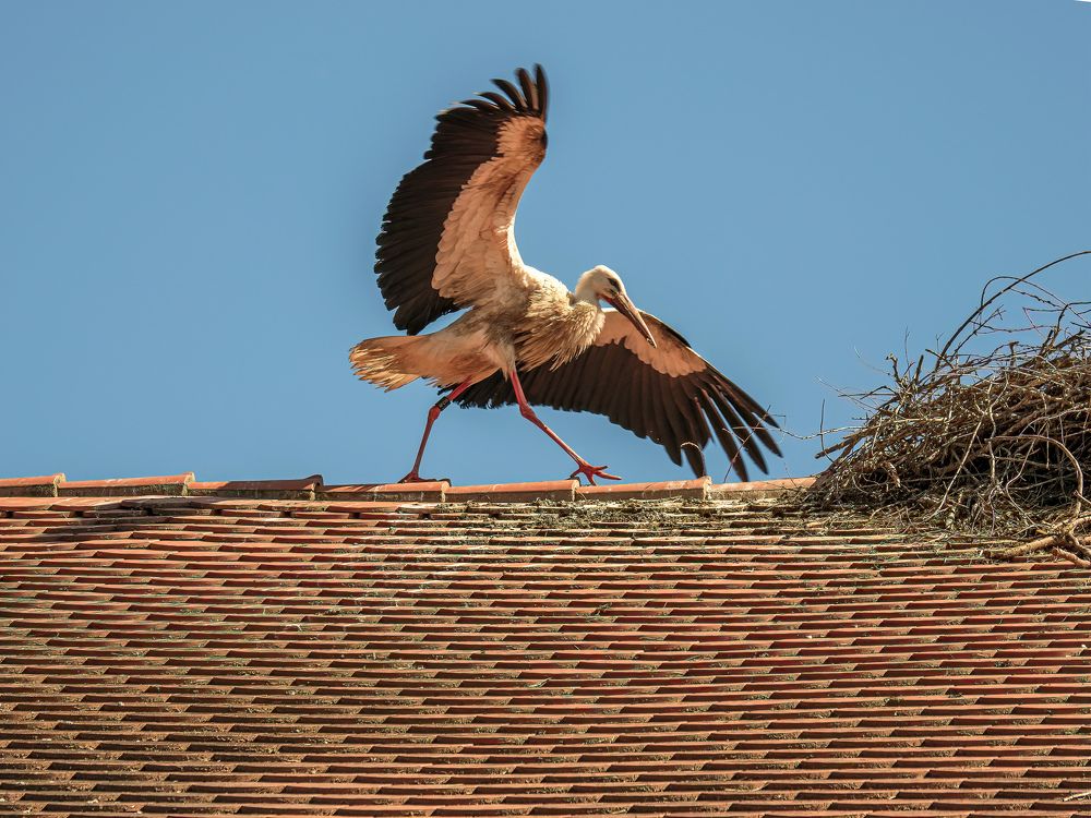 Photograph by Сергей Шишмарин