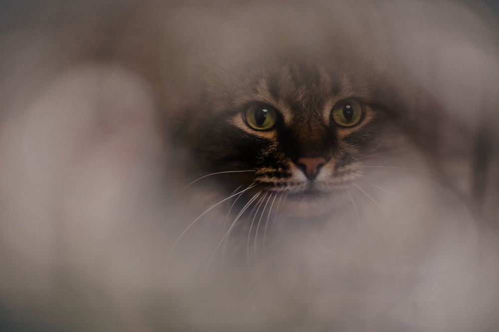 Photograph by Толмачёва Ирина