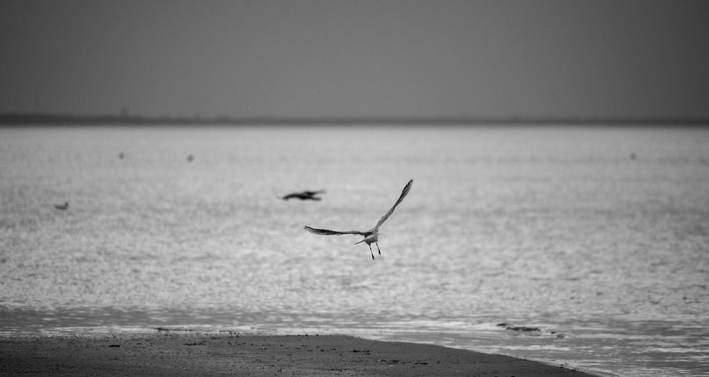 Фотография автора Aлексей Игнатьев