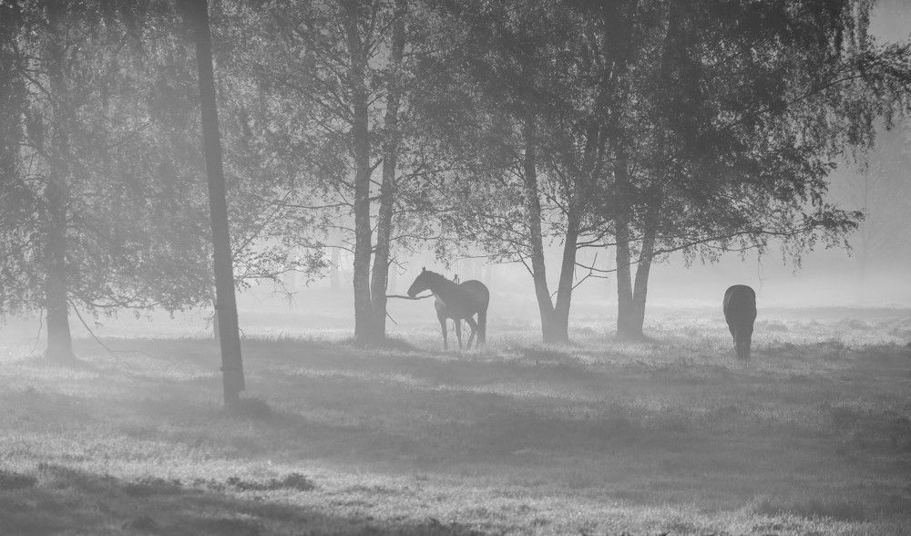 Фотография автора Aлексей Игнатьев