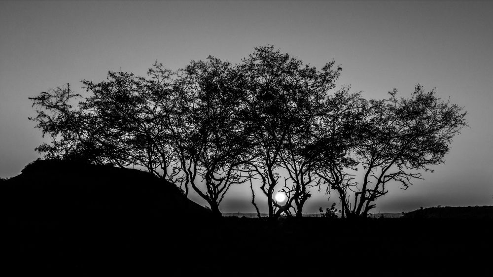 Photograph by AMARDEEP SINGH