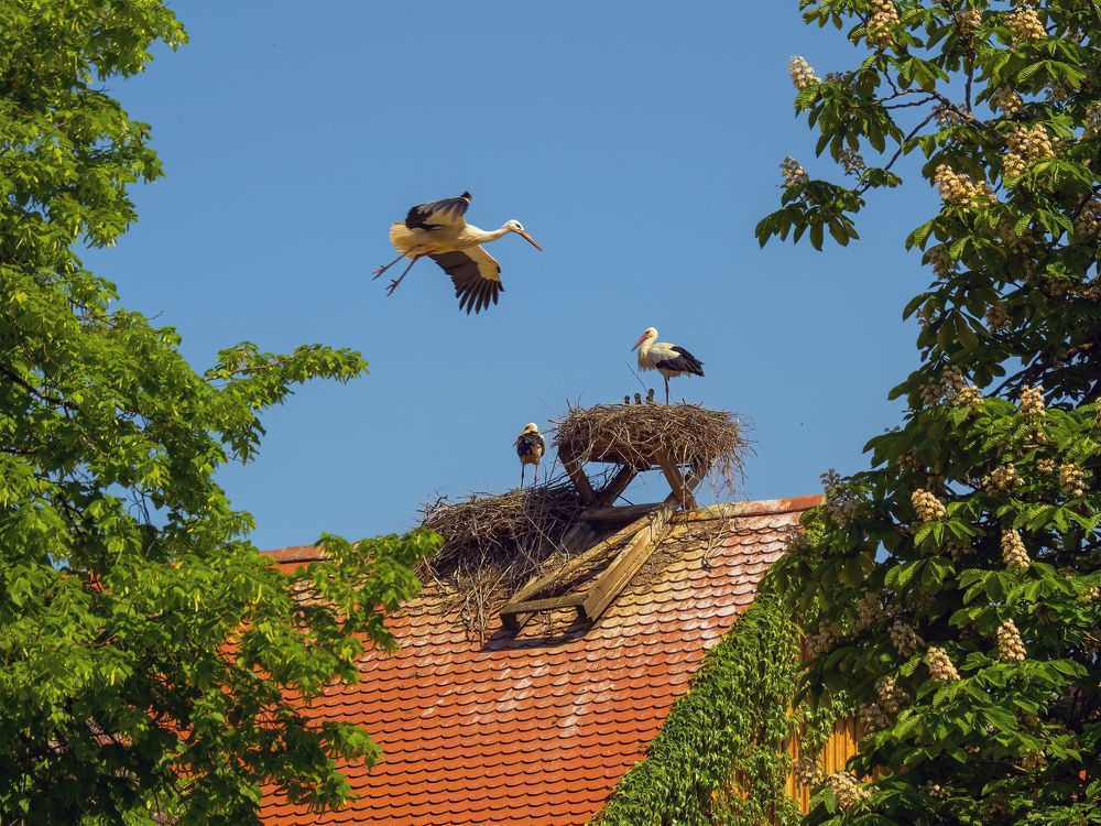 Photograph by Сергей Шишмарин