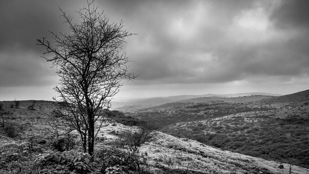 Photograph by AMARDEEP SINGH