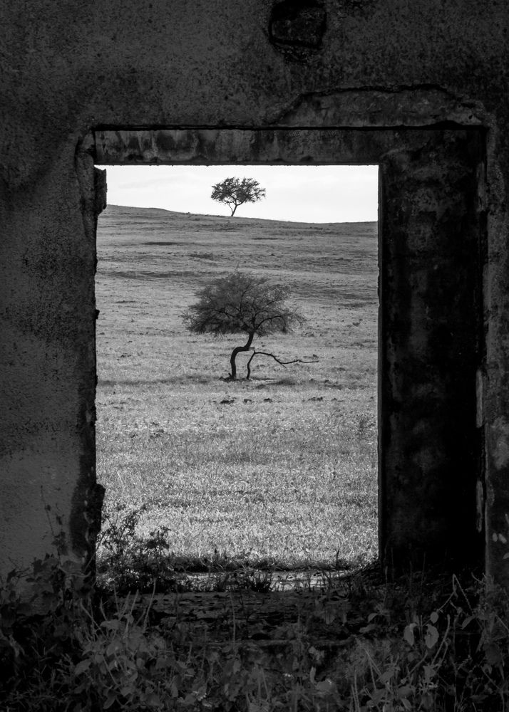 Photograph by AMARDEEP SINGH