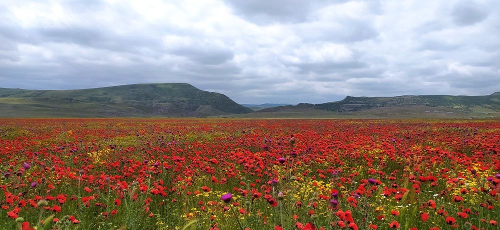 Photograph by Галина Поликанина