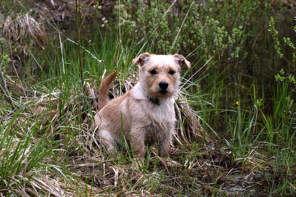 Photograph by Владимир Воложинский