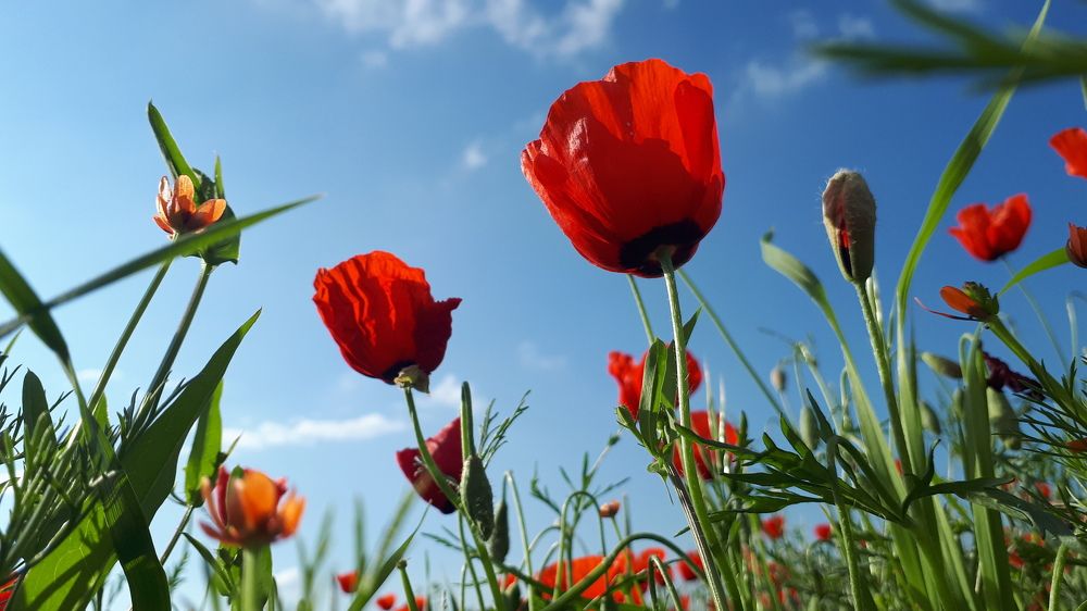 Фотография автора Галина