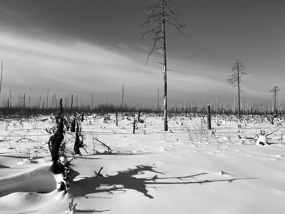 Photograph by Евгений Лосев