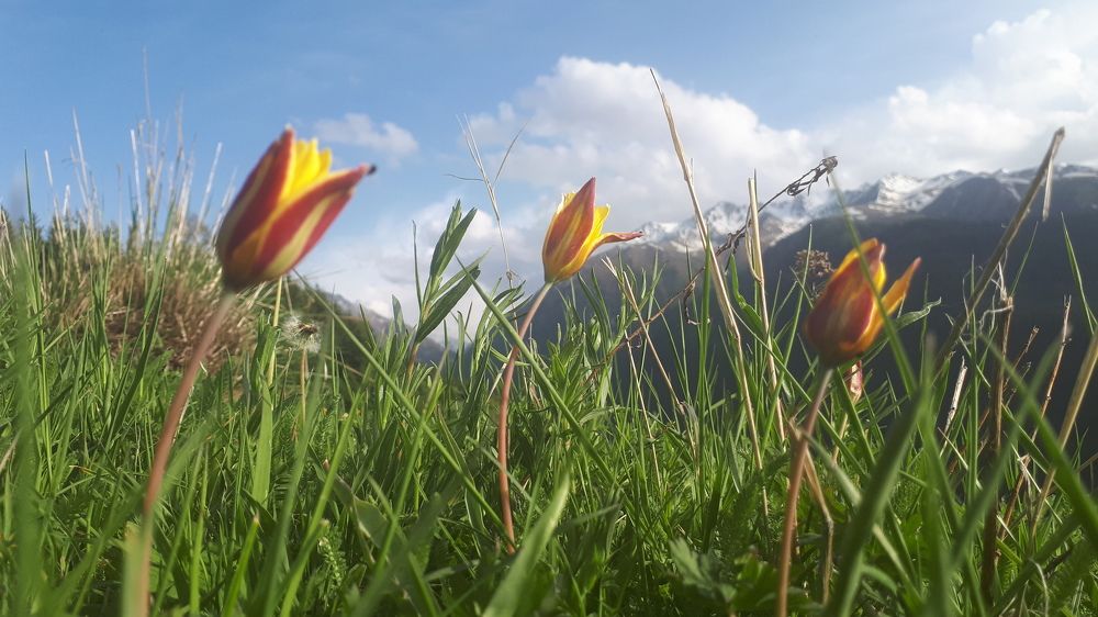 Фотография автора Галина