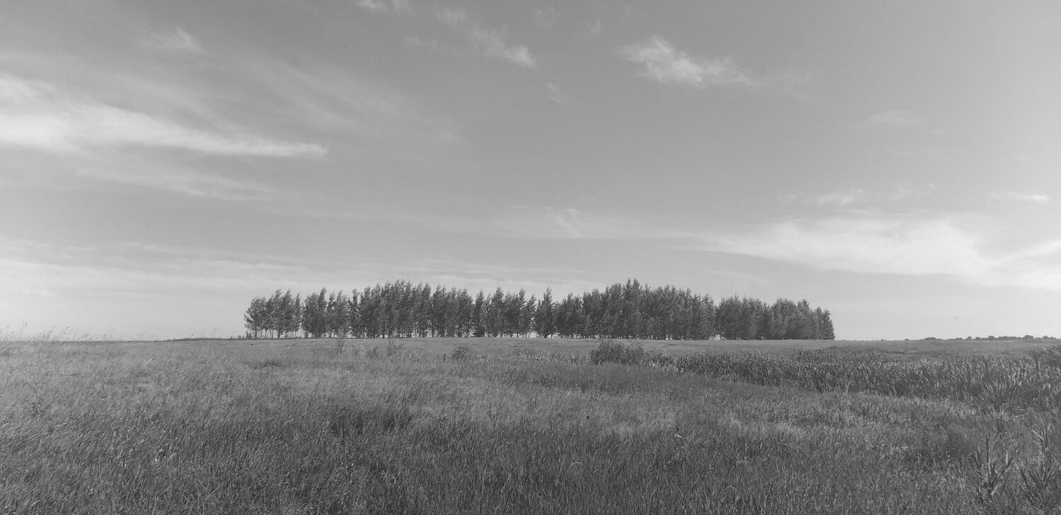 Photo #7618748