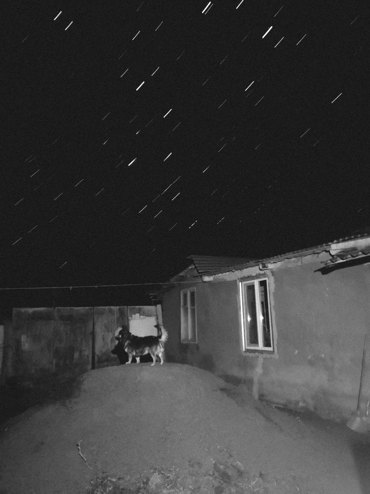 Фотография автора Илья Исаев