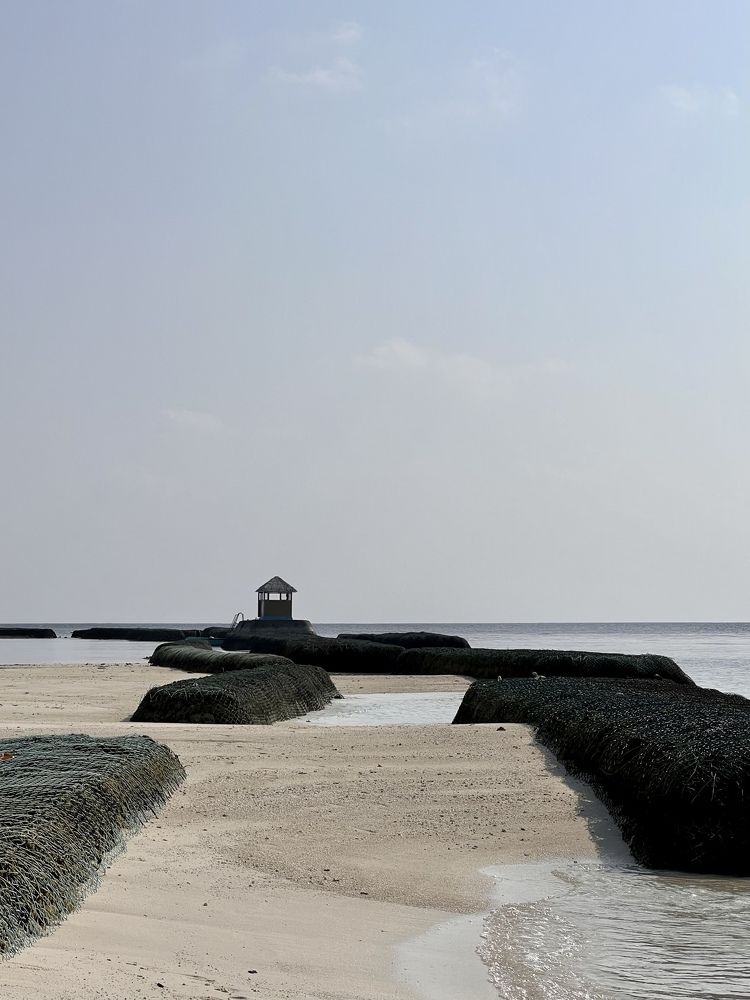 Photograph by Юлия Зенченко