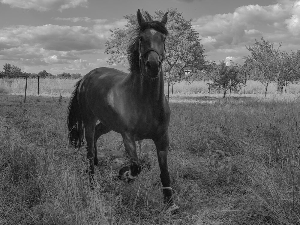 Nice to meet you, friend