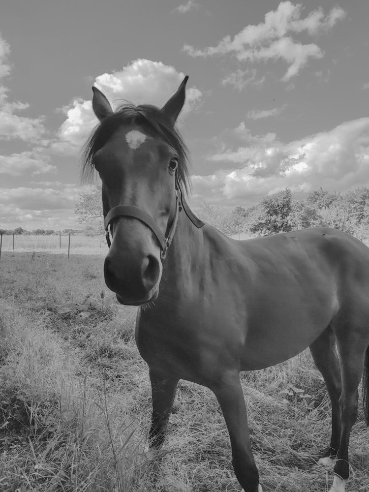 You've got an apple?