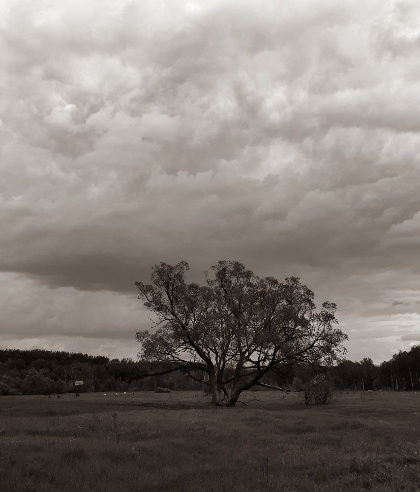 Photograph by Ольга Моисеева