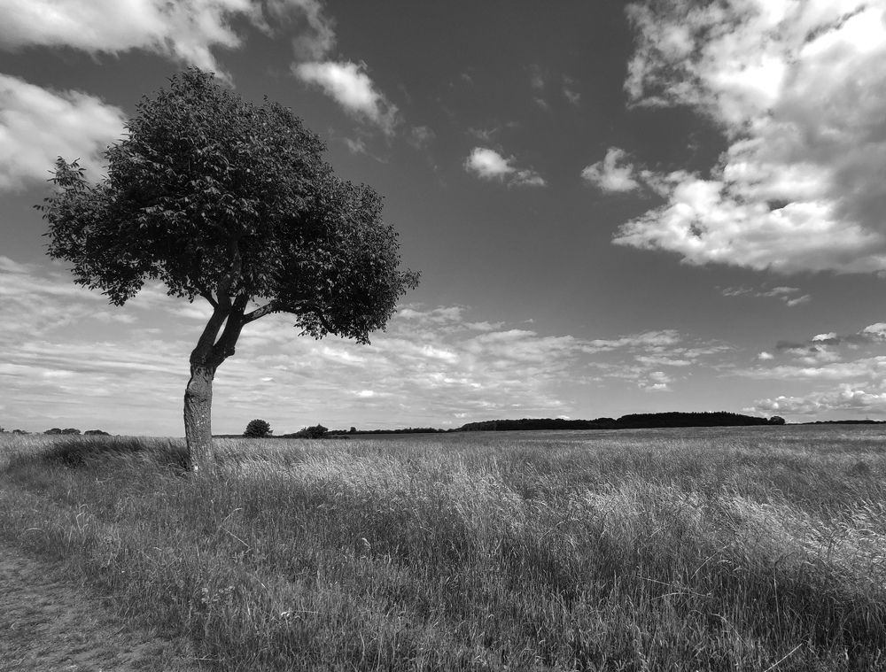 Photograph by Katsiaryna