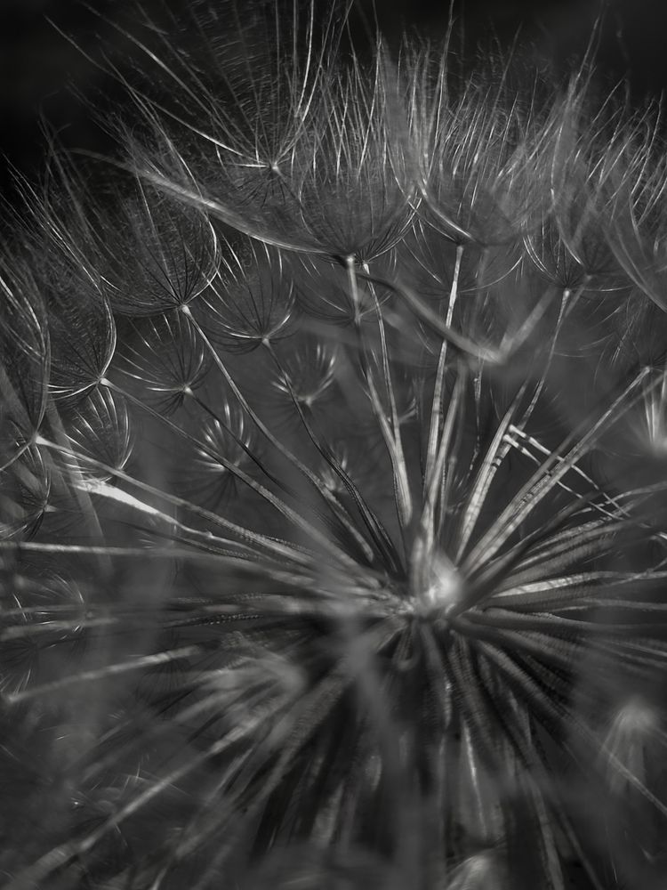 Photograph by Katsiaryna