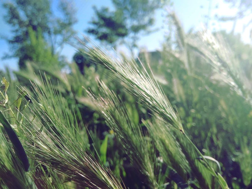 Photograph by Litvinova Ann