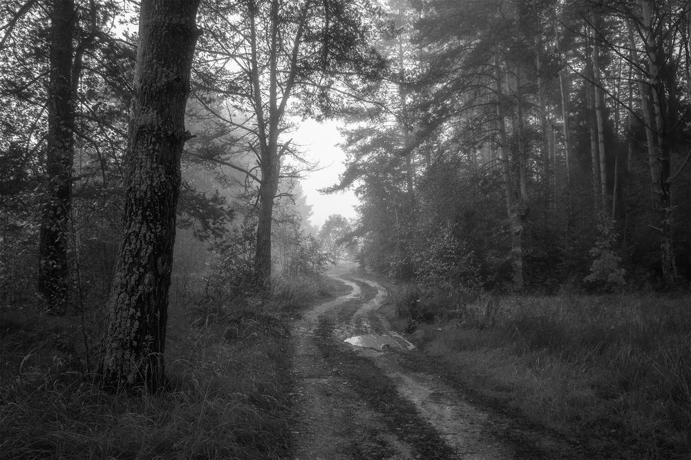 Photograph by Владимир