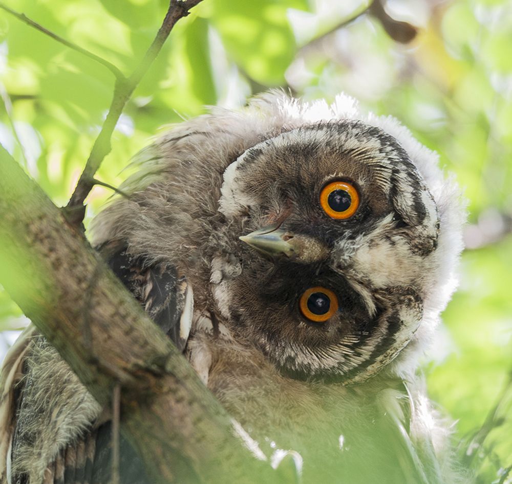 Photograph by Ольга Дядченко