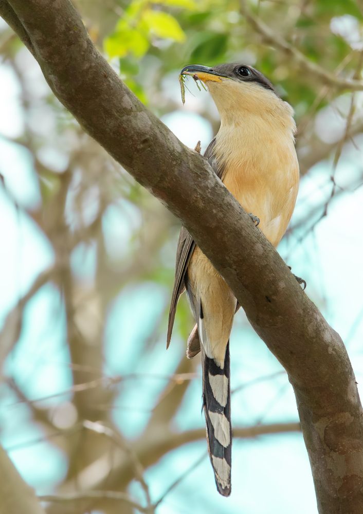 Photograph by Omar Torres