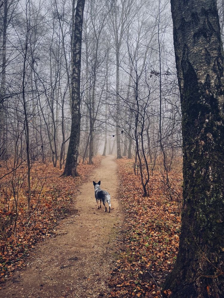 Photograph by Шумилина Марьяна