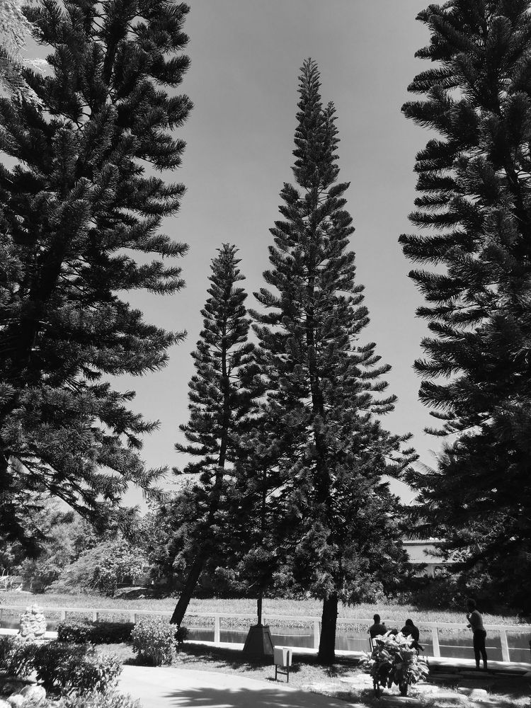 Photograph by Aklimay Sajor