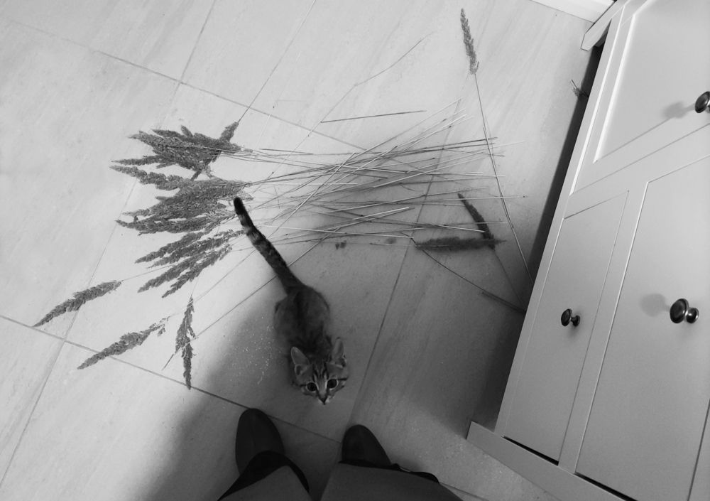Photograph by Анна