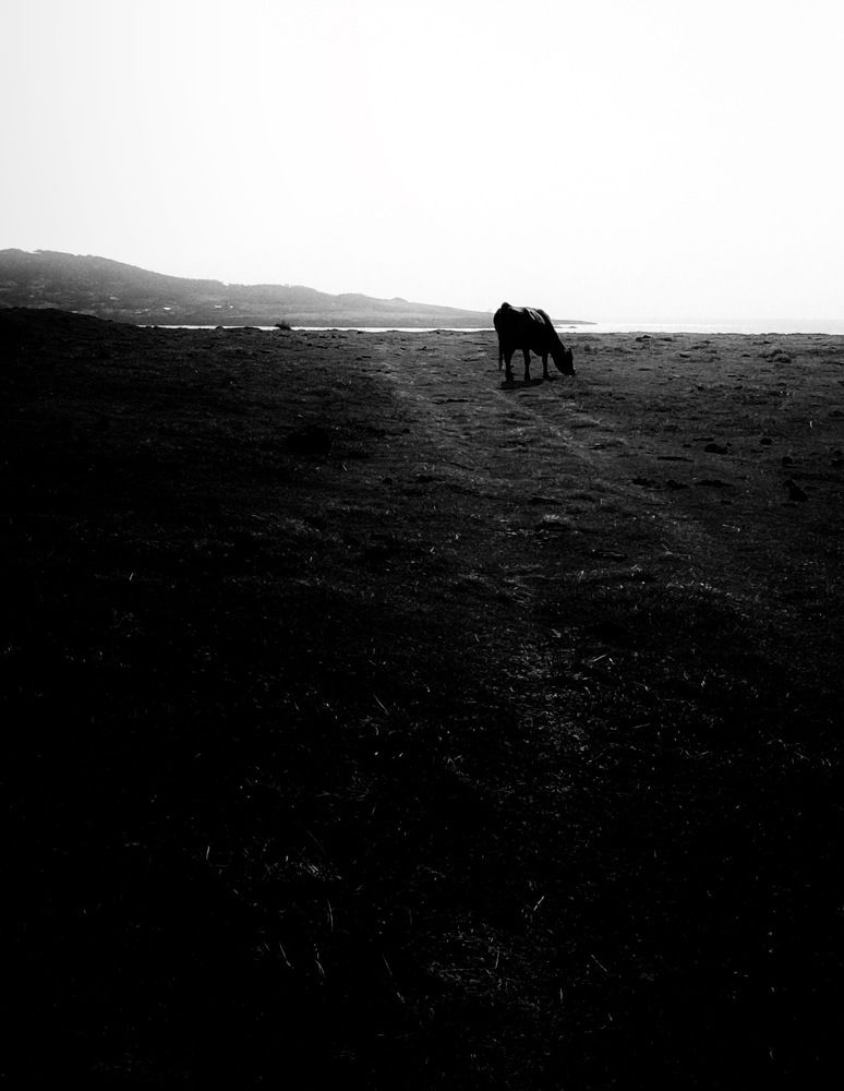 Photograph by  Keiichi Nakamura