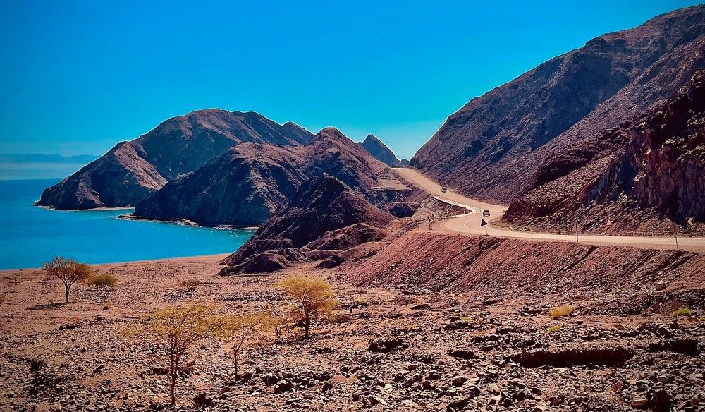 Photograph by Dalia Farid