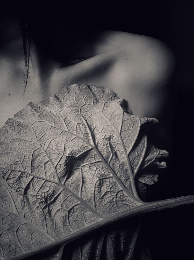 Photograph by Евгения Голубова