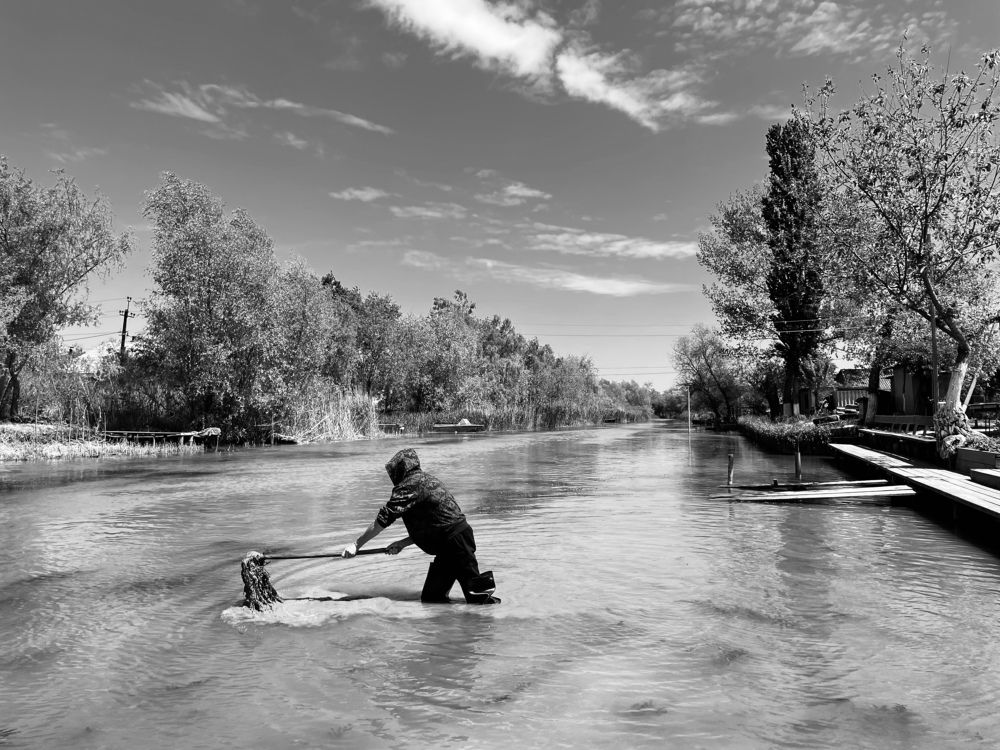 Photograph by Евгения Голубова