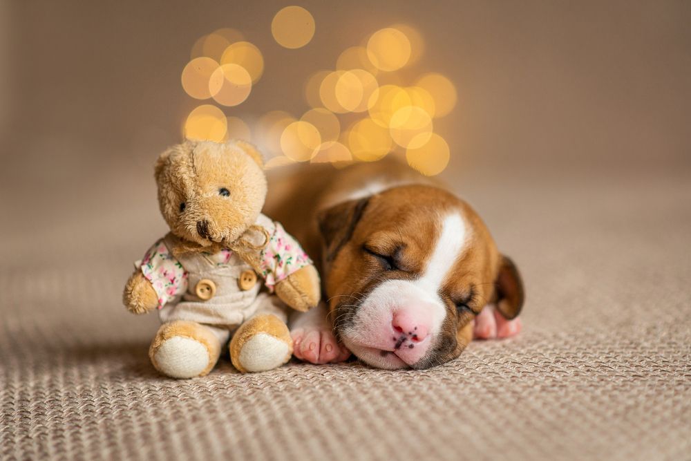 Photograph by Нина Дубровина