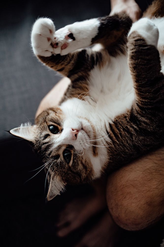 Photograph by Anzhelika Chistyakova