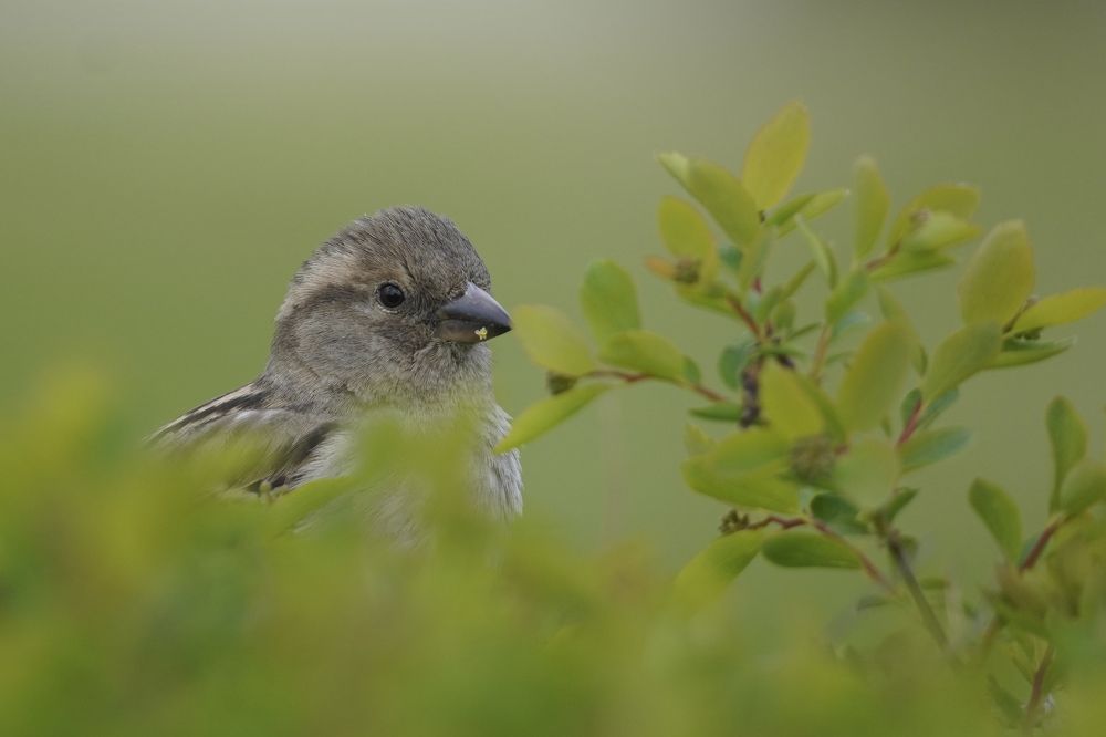 Фотография автора Сергей Затямин