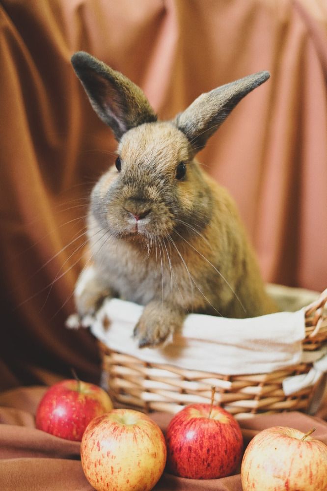 Photograph by Анна Великожон