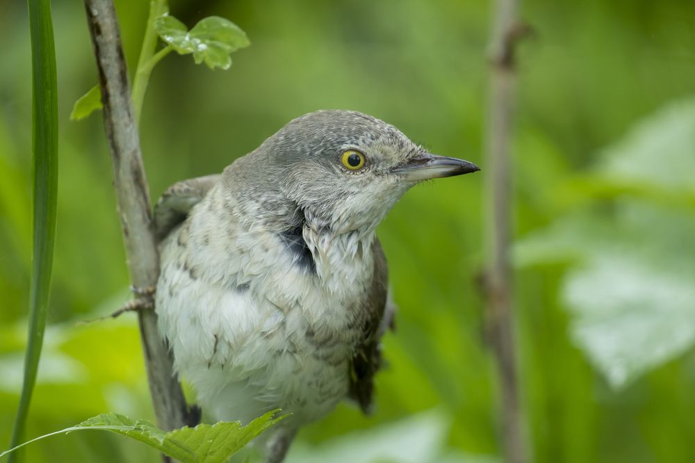 Фотография автора Сергей Затямин