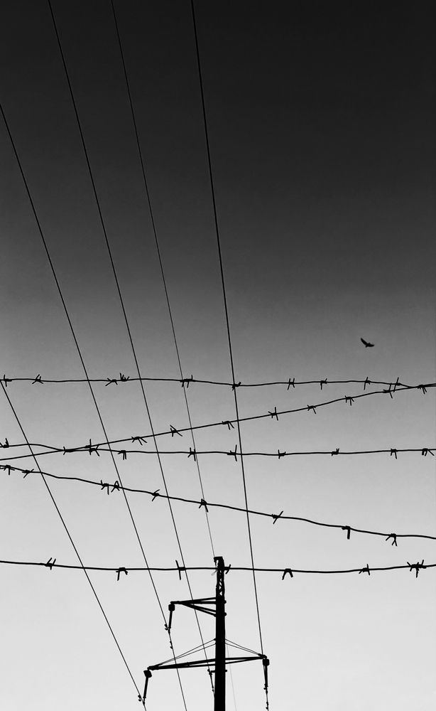 Photograph by Александра Елян