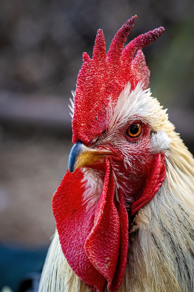 Photograph by Слави Котаров