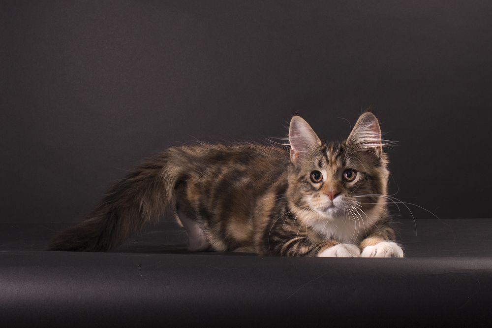 Photograph by Ирина Мамонова