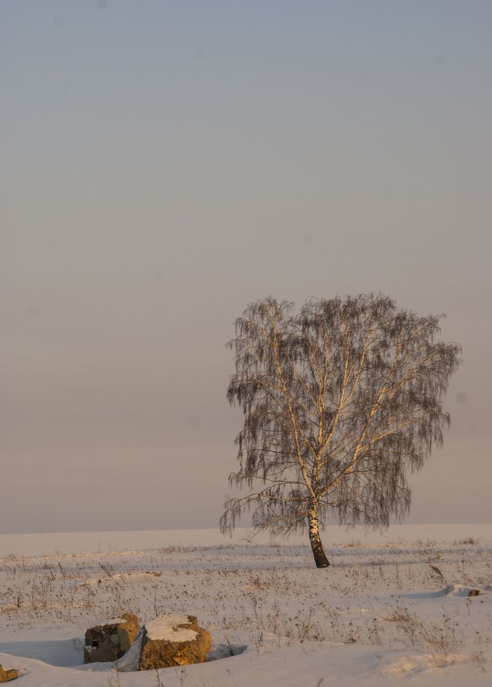 Photograph by Дубровин Николай