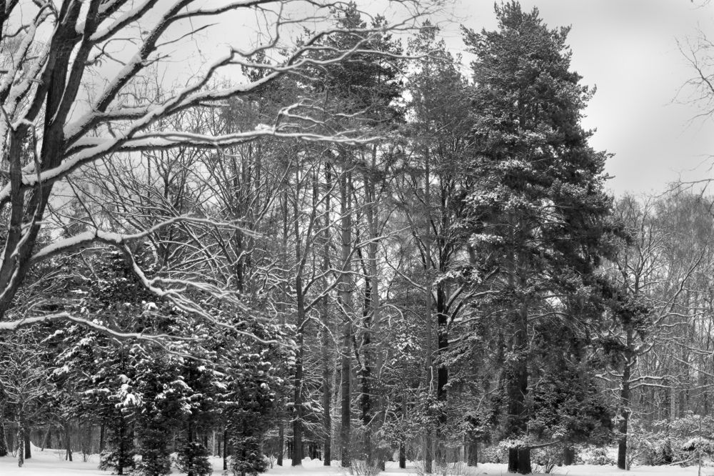 Фотография автора Анна Петина