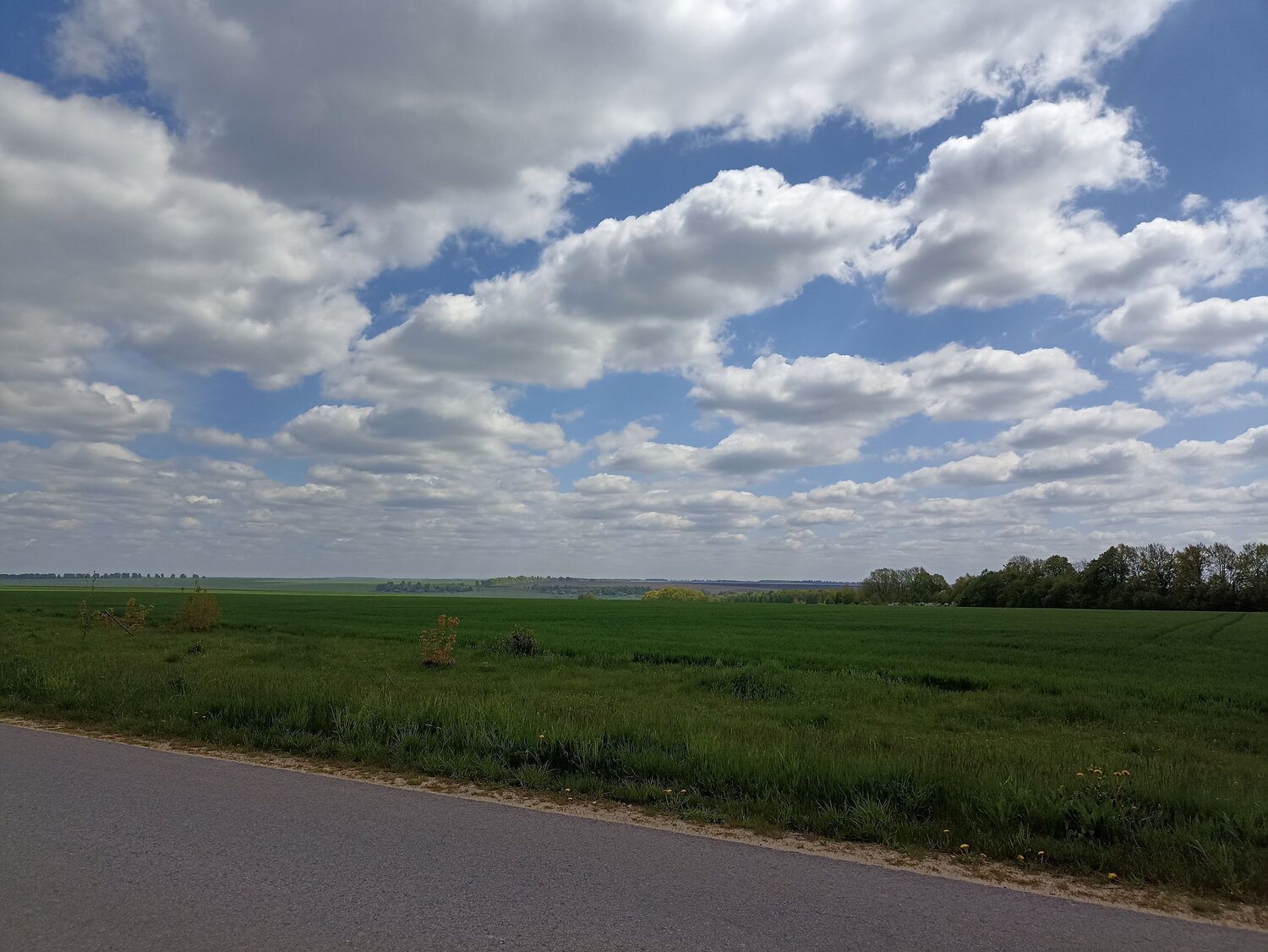 Photo #7619165