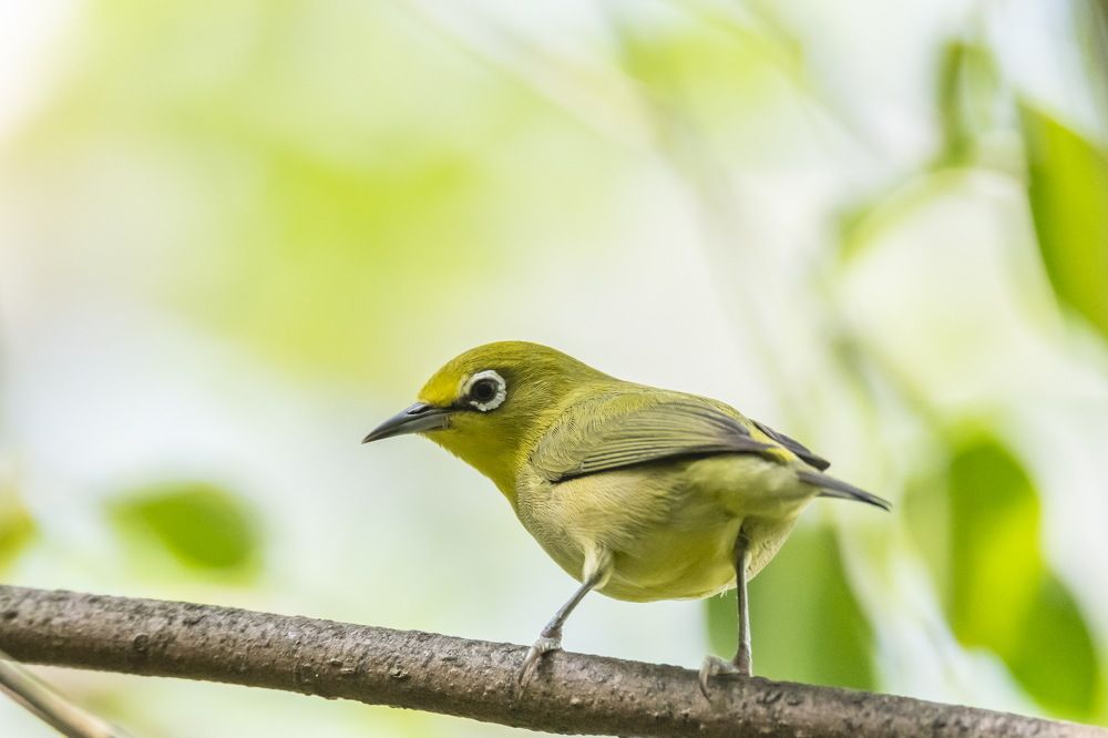 Photograph by Giulia Angelica Vicenzino