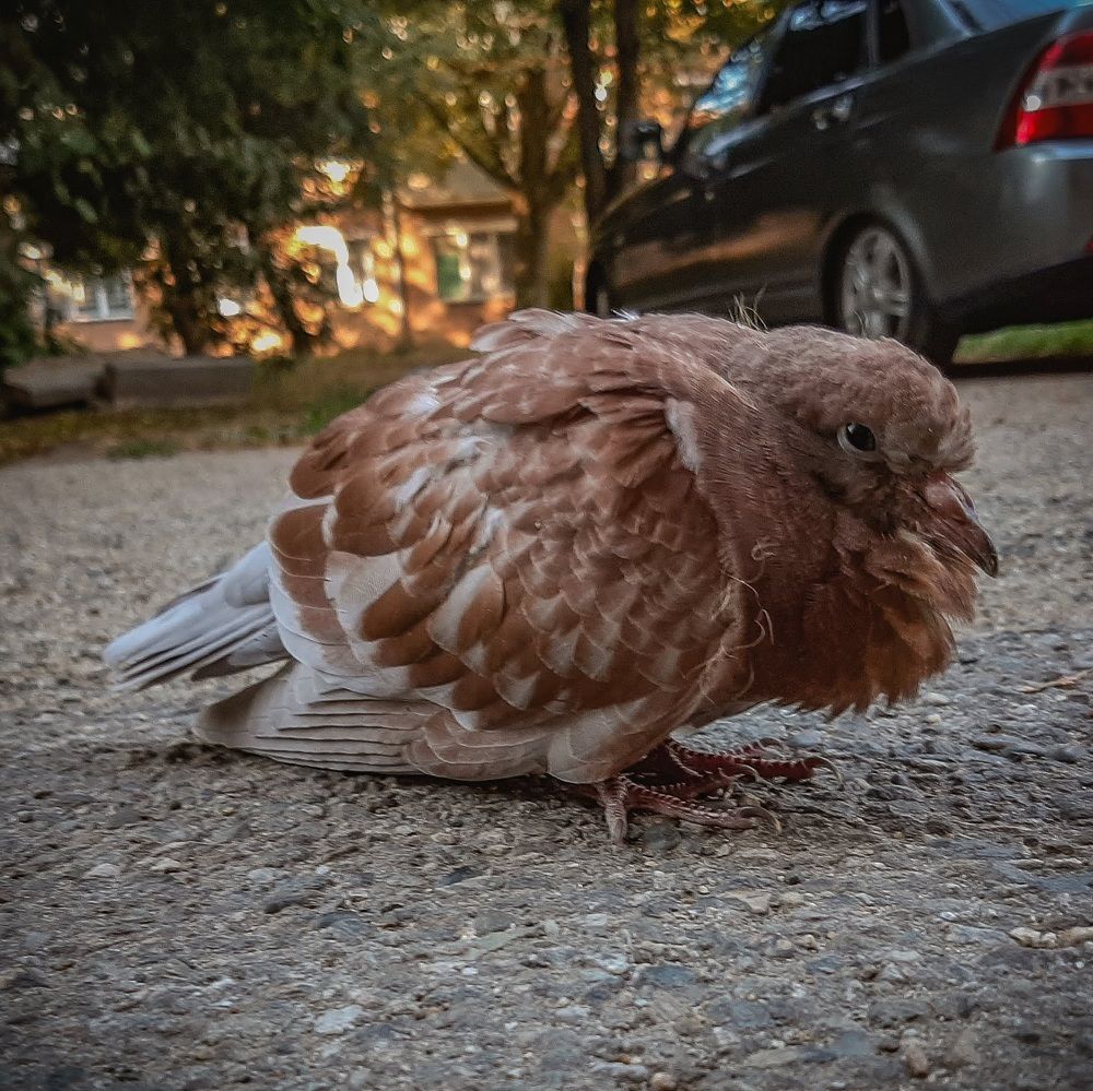 Фотография автора Даниил Барченко