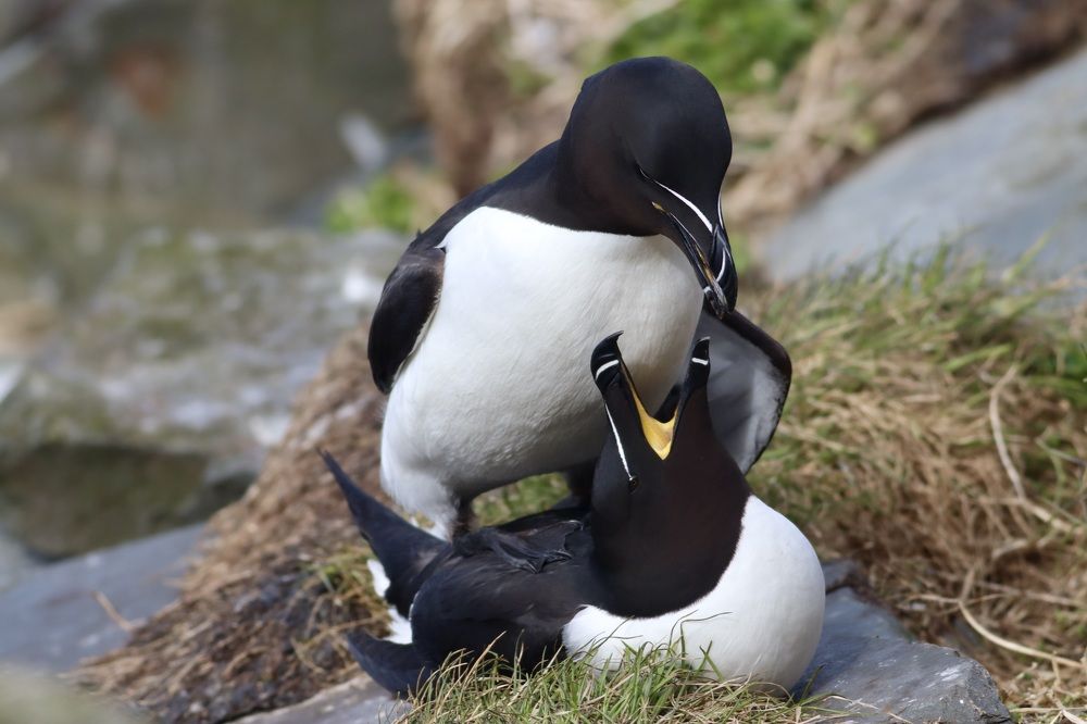 Photograph by Всеволод