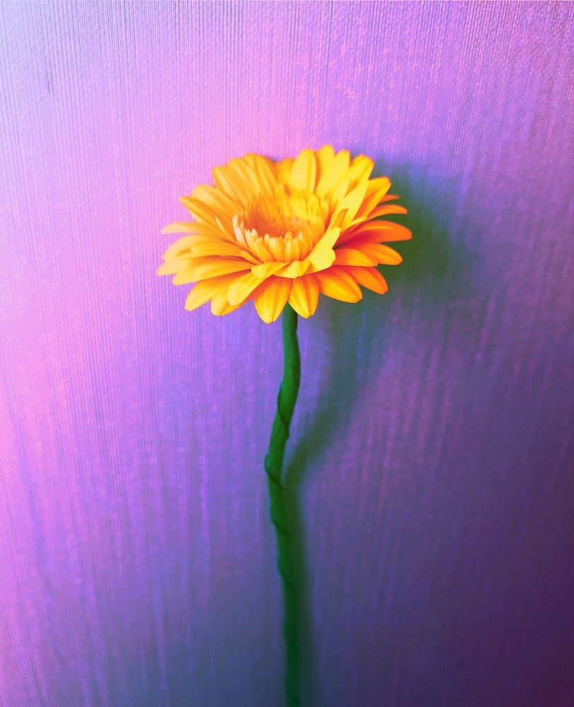 Photograph by Марина Василенко