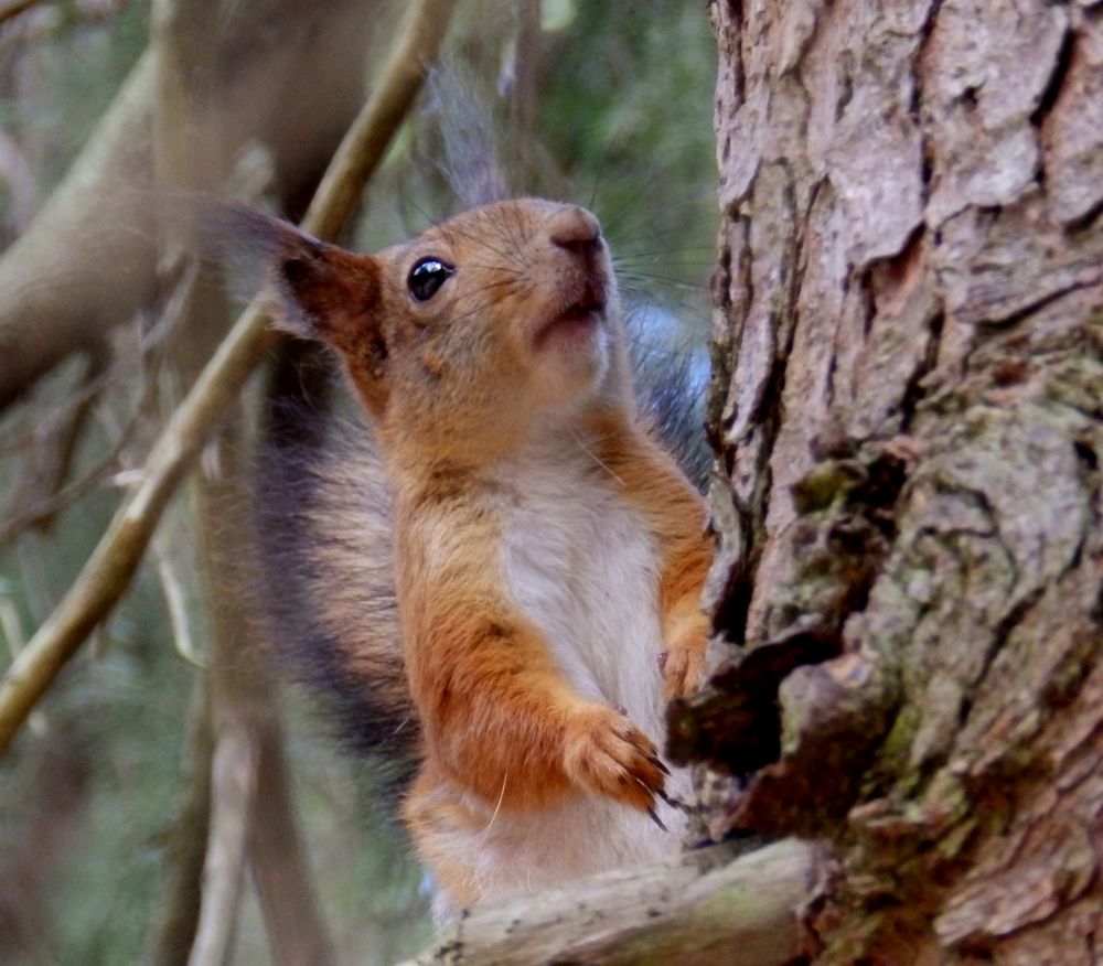 Photograph by Ирина Арканова