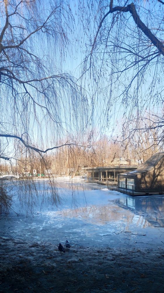 Photograph by Karine Galustova